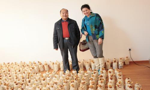 烟台美川灵芝菌丝粉生产厂长